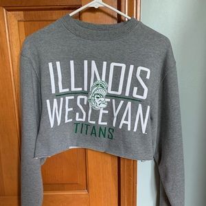 Illinois Wesleyan University Cropped Sweatshirt